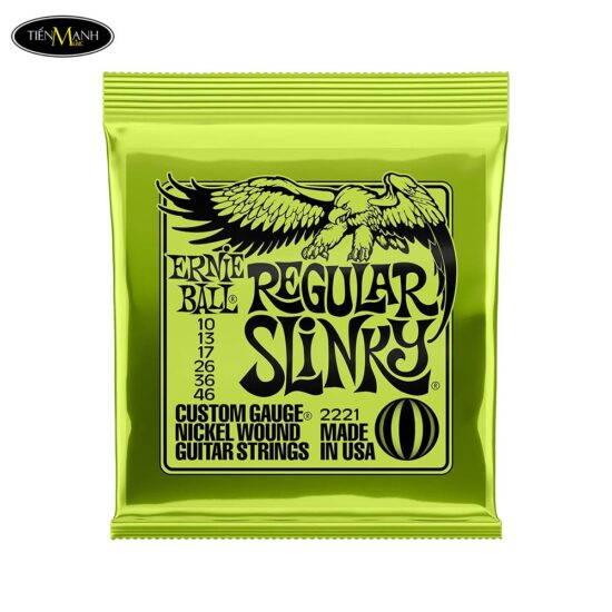 day-dan-guitar-dien-ernie-ball-e10-p02221-10-46 (2)