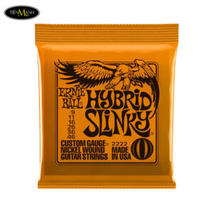 Dây Đàn Guitar Điện Ernie Ball E10-P02222 (9-46)