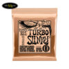 day-dan-guitar-dien-ernie-ball-e10-p02224-9-5-46 (1)