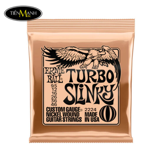 day-dan-guitar-dien-ernie-ball-e10-p02224-9-5-46 (1)