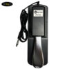 pedal-sustain-wersi-dp-10 (1)