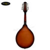 dan-mandolin-amati-smd-le-co-eq