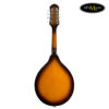 dan-mandolin-amati-smd-001