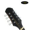 dan-mandolin-amati-smd-001