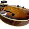 dan-mandolin-amati-smd-se-co-eq