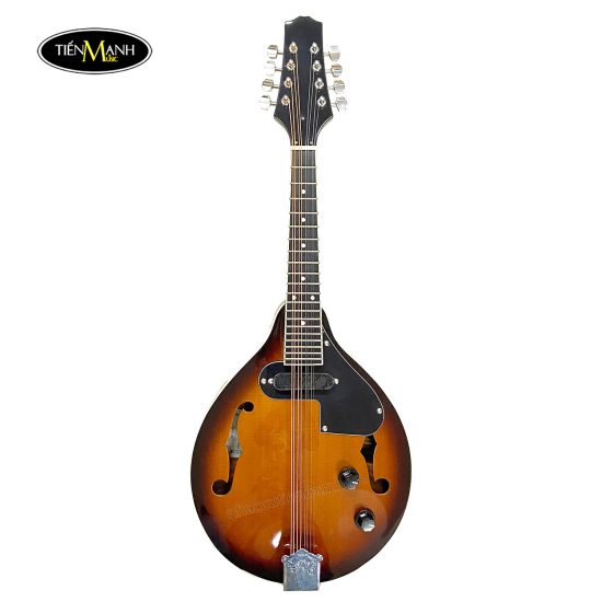 dan-mandolin-amati-smd-se-co-eq-