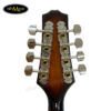 dan-mandolin-amati-smd-se-co-eq