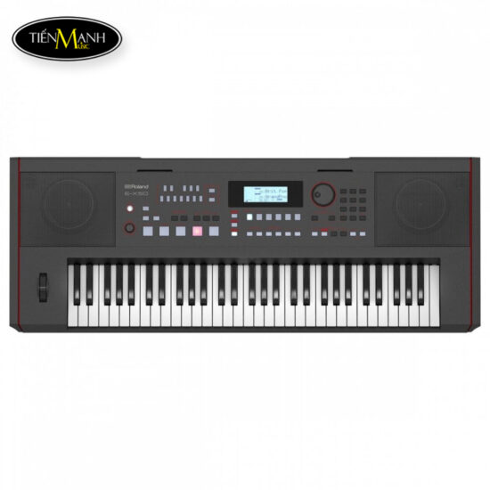 dan-organ-roland-e-x50 (1)