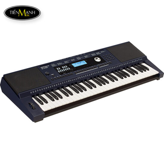 dan-organ-roland-ex30 (7)