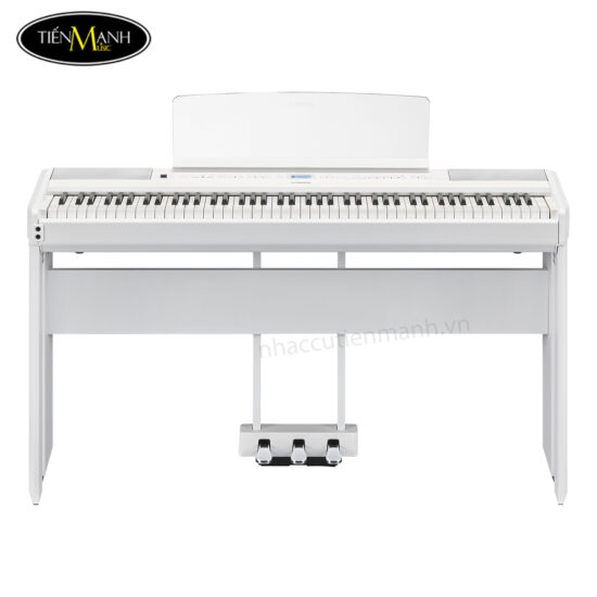 dan-piano-dien-yamaha-p-525b-wh-black-white