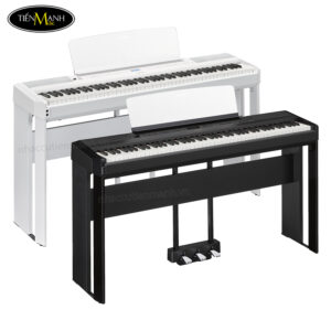 dan-piano-dien-yamaha-p-525b-wh-black-white