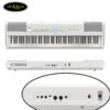 dan-piano-dien-yamaha-p-525b-wh-black-white