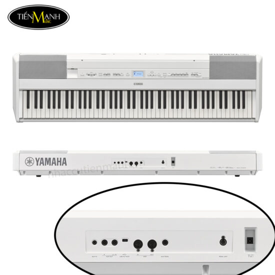 dan-piano-dien-yamaha-p-525b-wh-black-white