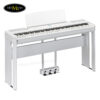 dan-piano-dien-yamaha-p-525b-wh-black-white
