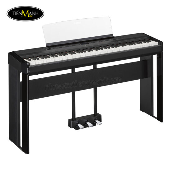 Đàn Piano Điện Yamaha P-525B / WH ( Black / White ) - Ảnh 6