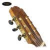dan-guitar-classic-ba-don-c550-diep