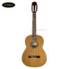 dan-guitar-classic-ba-don-c550-diep