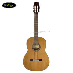 dan-guitar-classic-ba-don-c550-diep