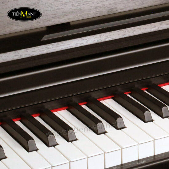 dan-piano-dien-kurtzman-ks1