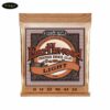 day-dan-acoustic-ernie-ball-earthwood-light-phosphor-bronze-acoustic-guitar-strings-p02148-11-52