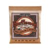 day-dan-acoustic-ernie-ball-earthwood-medium-light-phosphor-bronze-p02146-12-54
