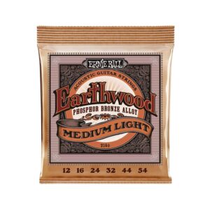 day-dan-acoustic-ernie-ball-earthwood-medium-light-phosphor-bronze-p02146-12-54