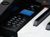 dan-piano-dien-apollo-kp88