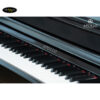 dan-piano-dien-apollo-kp88