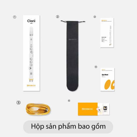 Sáo Điện Tử Robkoo Clarii Mini