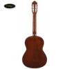 dan-guitar-classic-yamaha-cgs103a