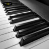 roland-midi-keyboard-controller-a88-mk2