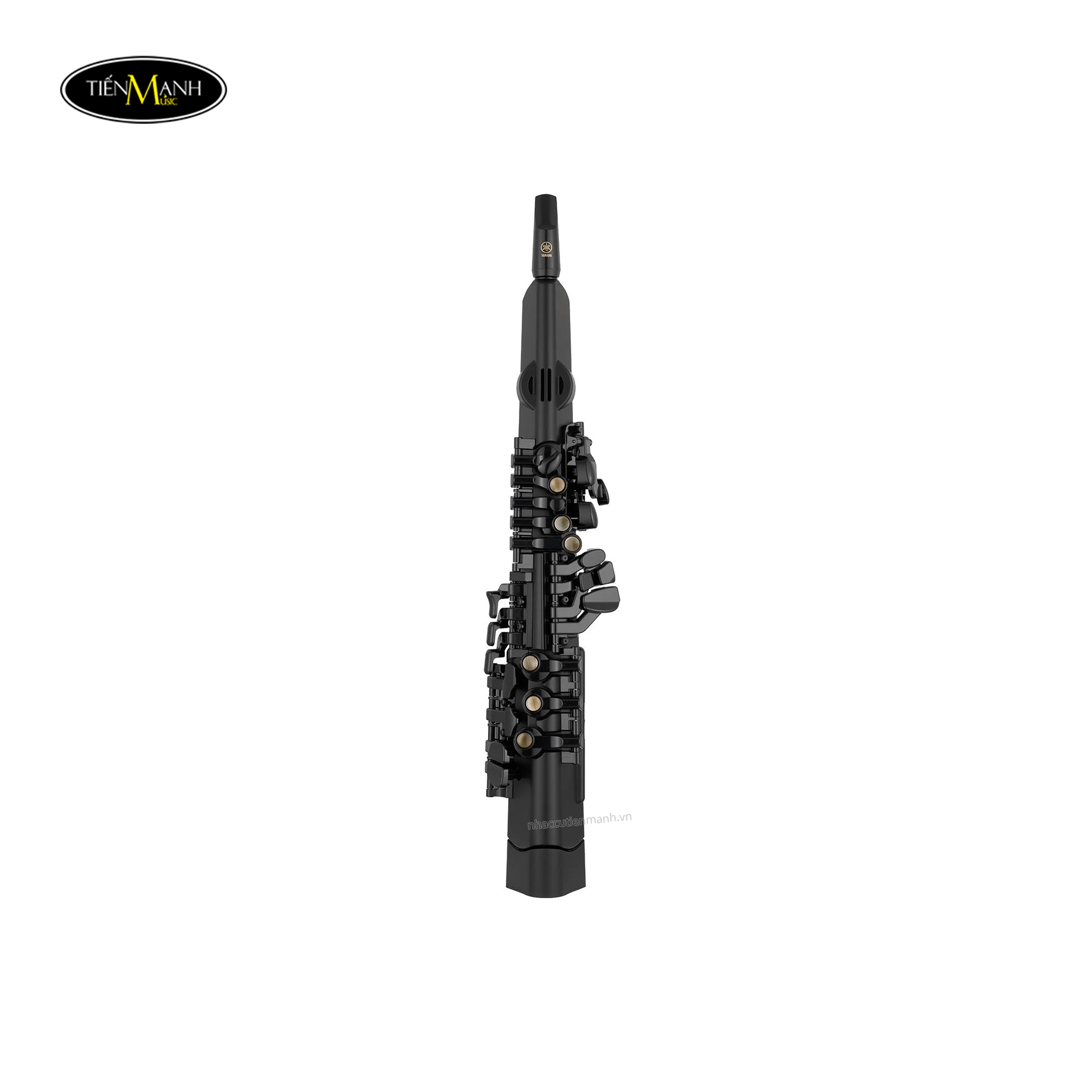Ken-Saxophone-Dien-Tu-Yamaha-YDS-120-1.jpg