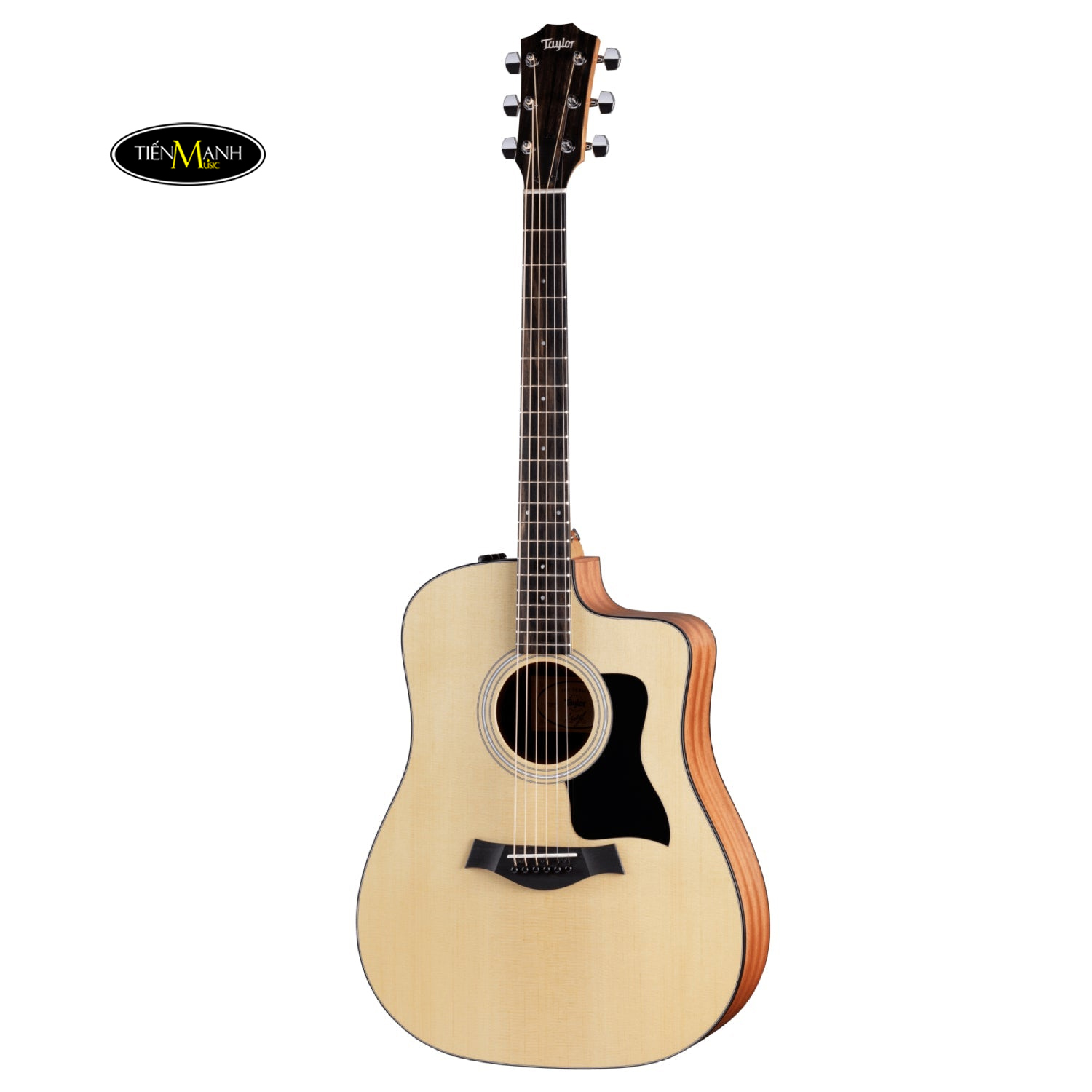 dan-guitar-acoustic-taylor-110ce-s-w-softshell-case