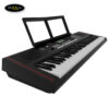 dan-organ-roland-ex10-61-key-4.j
