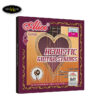 day-dan-acoustic-guitar-alice-aw466