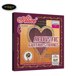 day-dan-acoustic-guitar-alice-aw466