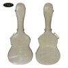 hop-cung-dan-guitar-classic-cc-500n-bb