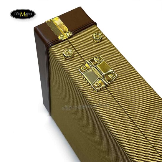 hop-cung-dan-guitar-dien-ec-115-ps-ec-115-yc-2.