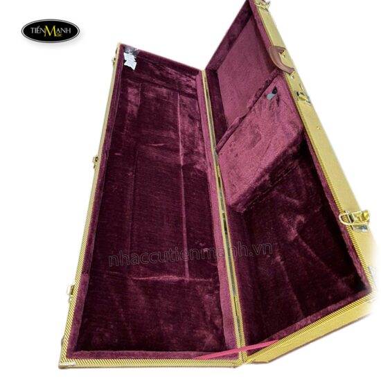 hop-cung-dan-guitar-dien-ec-115-ps-ec-115-yc-2.