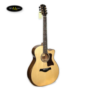 dan-guitar-acoustic-ba-don-t720-1.