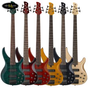 dan-guitar-bass-yamaha-trbx-605fm