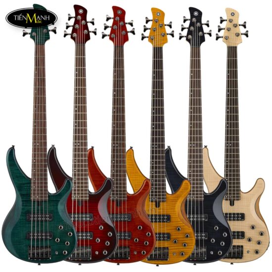 dan-guitar-bass-yamaha-trbx-605fm