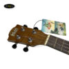 dan-ukulele-concert-hala-2371-kem-tui-size-23