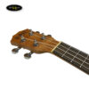 dan-ukulele-concert-rk-2372-size-23
