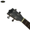 dan-ukulele-tenor-moani-2640