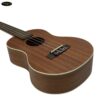dan-ukulele-tenor-moani-2640