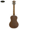 dan-ukulele-tenor-moani-2640