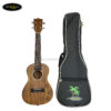 dan-ukulele-concert-2373-kem-tui-size-23