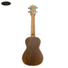 dan-ukulele-concert-2373-kem-tui-size-23