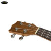 dan-ukulele-concert-2373-kem-tui-size-23